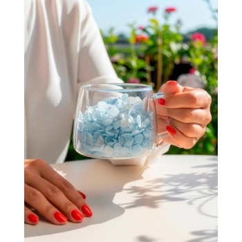 Caneca Borossilicato Parede Dupla Flores Secas 200ml Luva com 1 - Blue