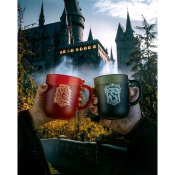 Caneca De Vidro Prime Harry Potter Casas 300 ML - Luva Com 1 Unid - Grifinória