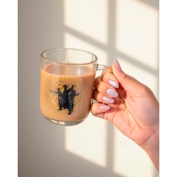 Caneca De Vidro Harry Potter Elementos 300 ML - Luva Com 1 Unid - Varinhas